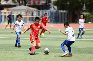 年热搜明星,盘点,你最倾心哪,3377体育官网,3377体育网页版入口,3377体育h5在线官网,3377体育app下载