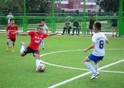 大乐透期号,专家质合分,析推荐,3377体育官网,3377体育网页版入口,3377体育h5在线官网,3377体育app下载