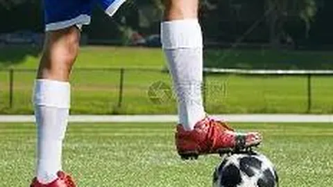 3377体育app下载 产品 084223 rvv