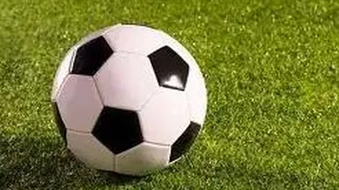 3377体育app下载 产品 084220 fsn