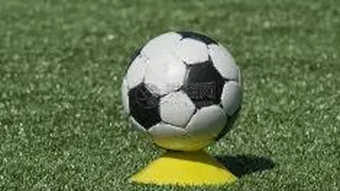 3377体育app下载 产品 084313 pu0