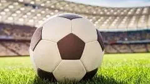 3377体育app下载 产品 083432 pe5