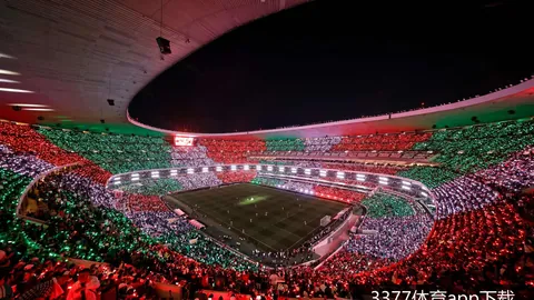 3377体育下载 093610 4